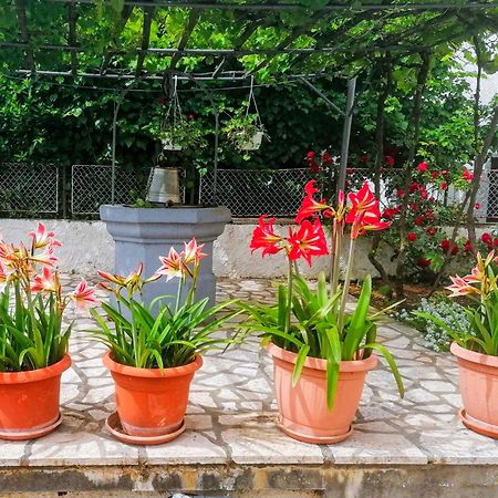 Apartman Lavanda Sa Bazenom I Okucnicom 4* Hreljin Exterior foto