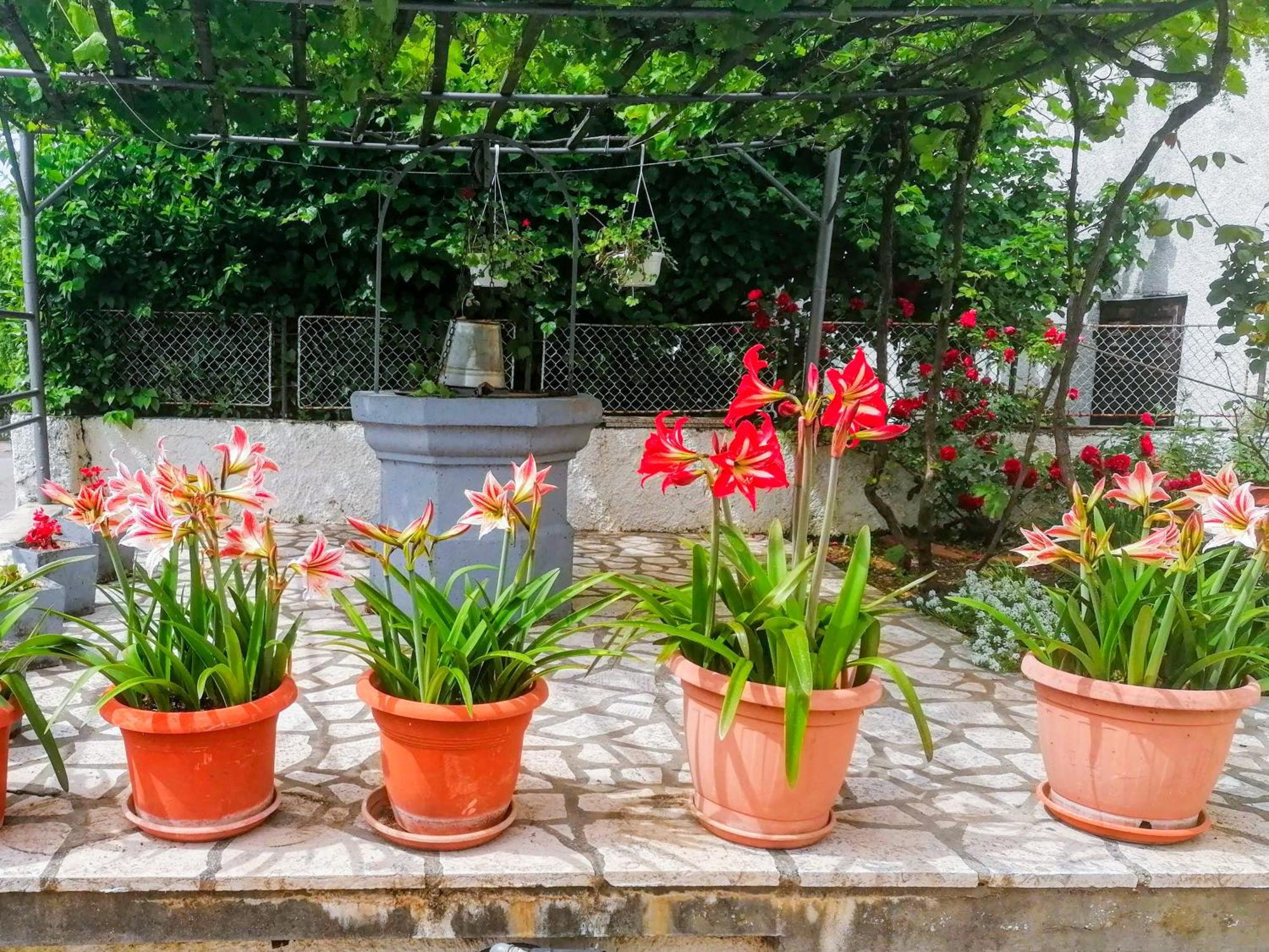 Apartman Lavanda Sa Bazenom I Okucnicom 4* Hreljin Exterior foto