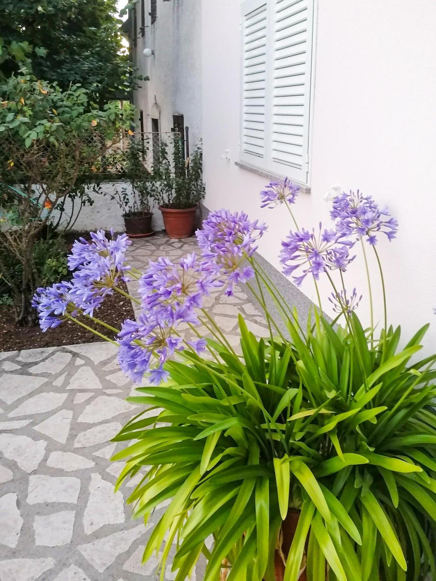 Apartman Lavanda Sa Bazenom I Okucnicom 4* Hreljin Exterior foto